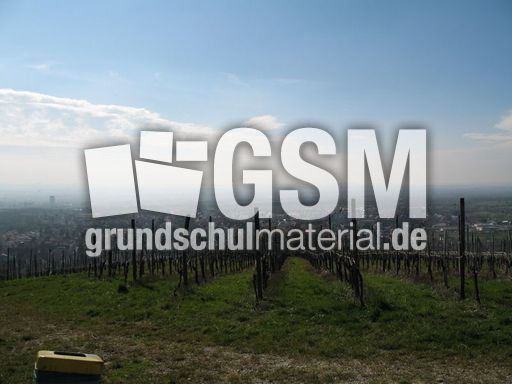 Weil am Rhein Weiler Weinweg 005.jpg